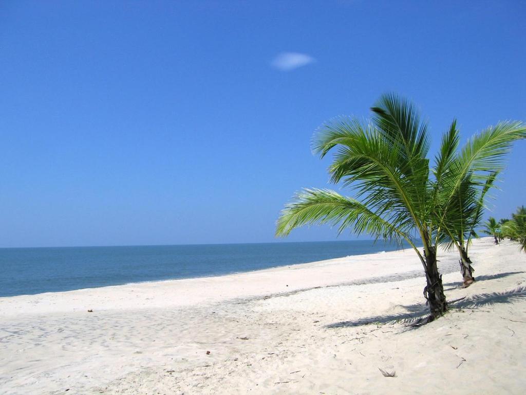 Marari Felix Beach Homestay Mararikulam Exterior photo